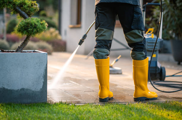 Best Local Pressure Washing Services  in Oxford, IN